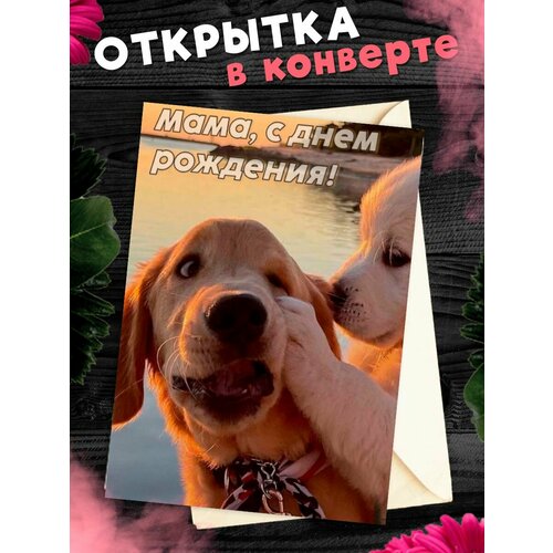 ������ ������ �������� �6 � �������� � ���� ��������, ����! ����