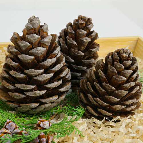 ������ ������ ������� �������� ����� 10 �� ��� ������ � �������, ��������� ��� ����. ��������� �� ����� ���. 3 �� ����