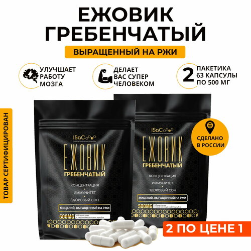 ������ ������ ������ ����������� ������� �� ���. ����� 1+1 ����