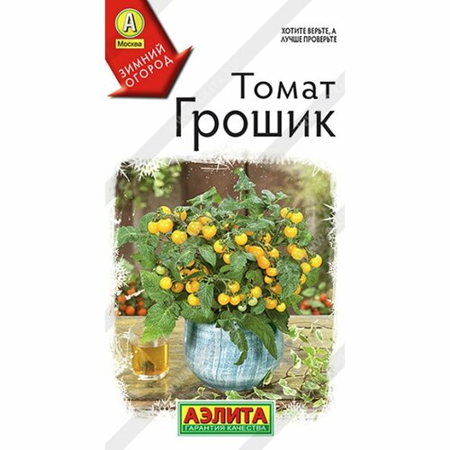 ������ ������ ������ ����� ������ (������) 10�� ������ ������ ����