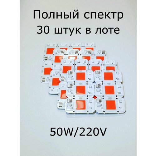 ������ ������ 30 ����������������� ����������� YXO DOB 4075-50W �� 50W/220V. � ���� 30 �����������! ����