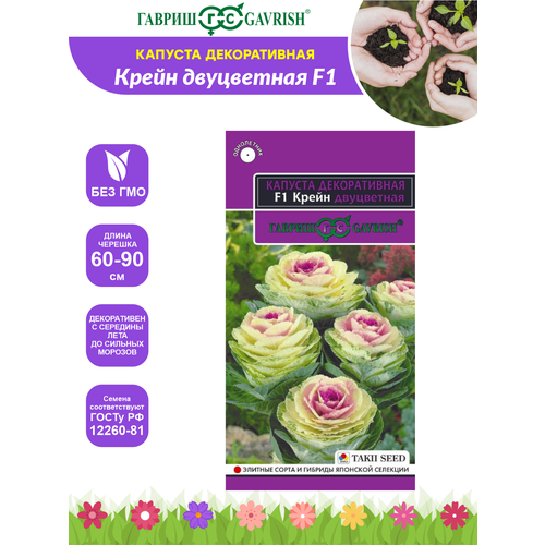 ������ ������ ������ ������� ������������ ����� ���������� F1 - ����� ��������� 6 ��. ����