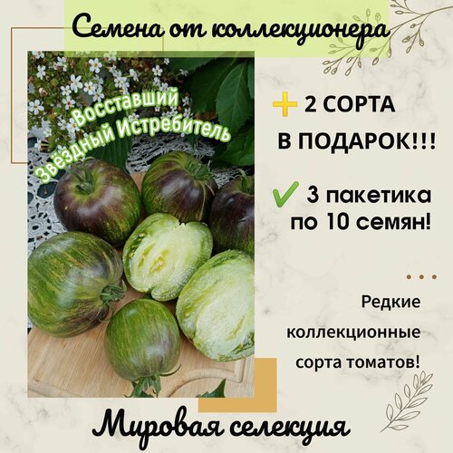 ������ ������ ����� ���������� ������� ����������� ��-16, ������� ��������, ������������� ���� ����