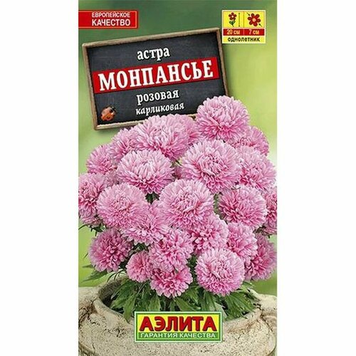 ������ ������ ������ ����� ��������� �������, ����������, (������) 0,2� ����