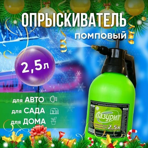 ������ ������ �������������, ������������� ������� 2,5 � ������� ����