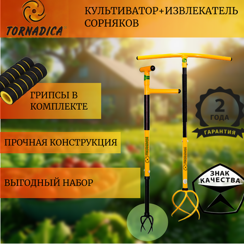 ������ ������ �������� ��������� (Tornadica) ����������� � �������� � ����������� �������� ����