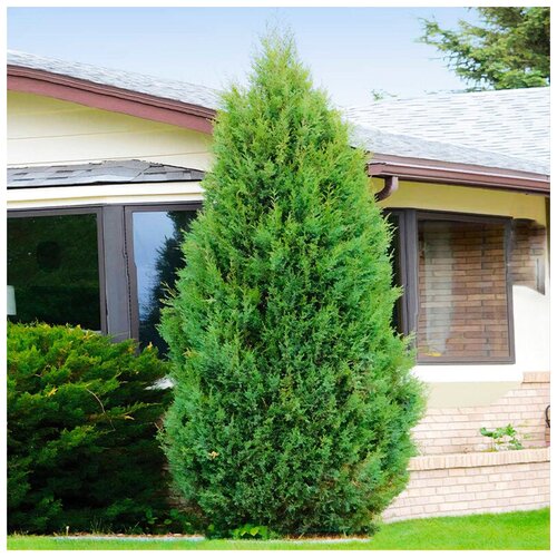 ������ ������ ������ ��������� ������������ ���������� �������, 20 �� ����