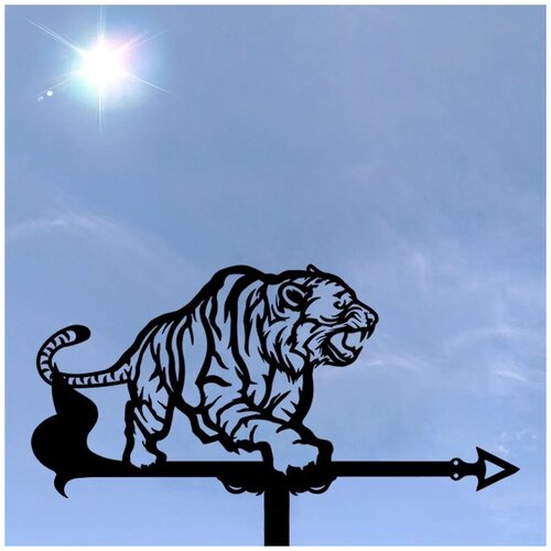 ������ ������ ������ ������������� ���� ����