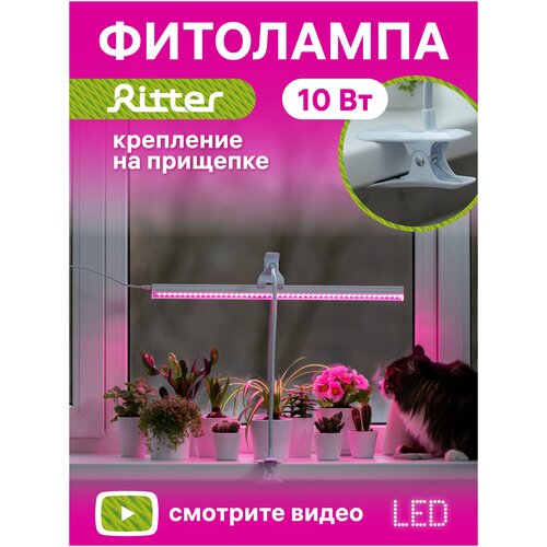         Ritter 56304 4, 10, 5722132. C 5 LED ,  , .  ,  2.   -     , -,   