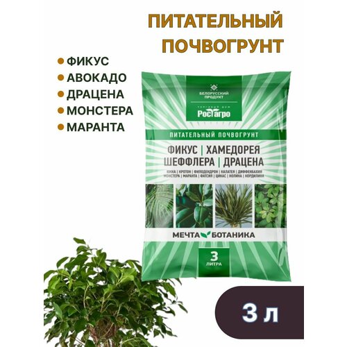 ������ ������ ����� ��� ������ ������� �������� ����� �������� 3 �. ����