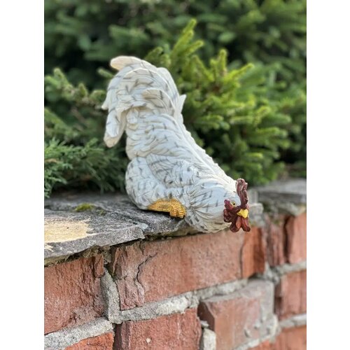 ������ ������ ������� ������� ����� ����