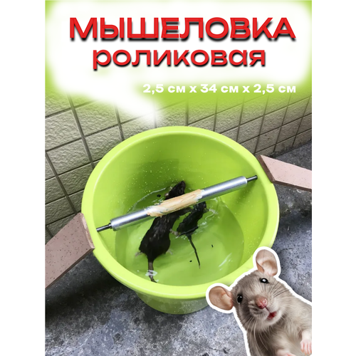 ������ ������ ���������, ��� ����� � ����, ��������, �����������, ������, 2,5�� x 34�� x 2,5�� ����