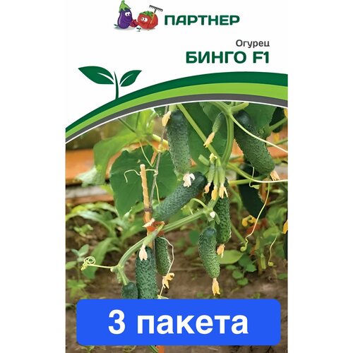 ������ ������ ������ ������ ��������� ������� 