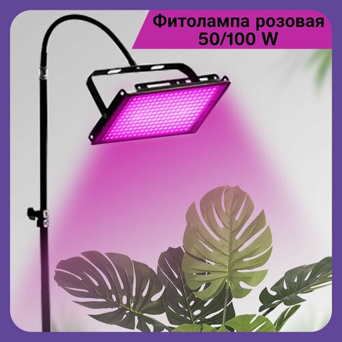 ������ ������ ��������� ����� ��� �������� ������� ����������������� 50 �� ����