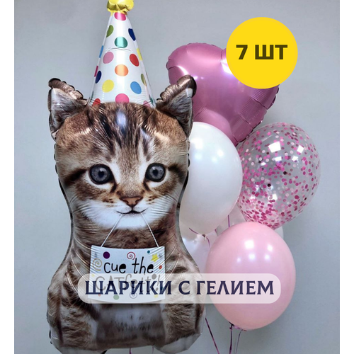 ������ ������ ��������� ���� � ������ (�������) ��� ������� 