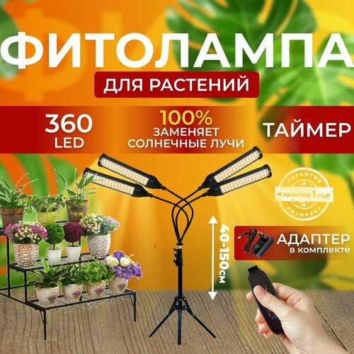 ������ ������ ��������� ��� ����������� �������� ������� ������ ������ �������������� �������� ������������ ��� ������ �� ������� � ��������, 4 ����� ����