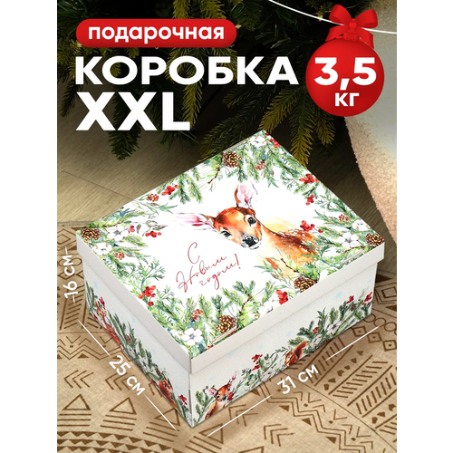 ������ ������ ������� ���������� �� ����� �����!�, 31 � 25 � 16 ��, ���������� ������� ����