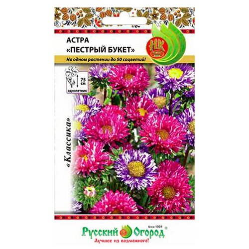 ������ ������ ����� 