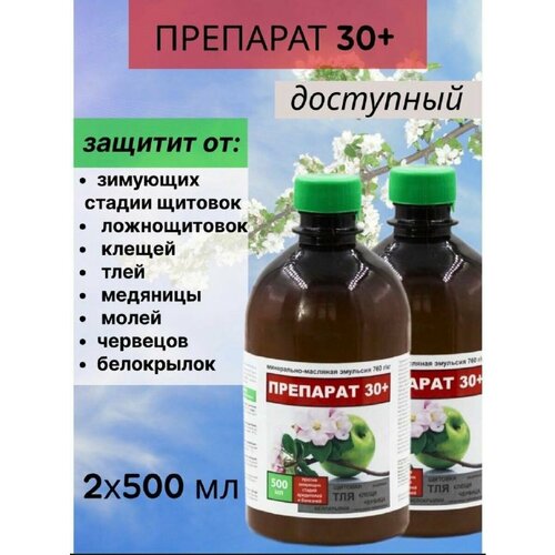 ������ ������ �������� ������ �������� 30 ���� 1� ����