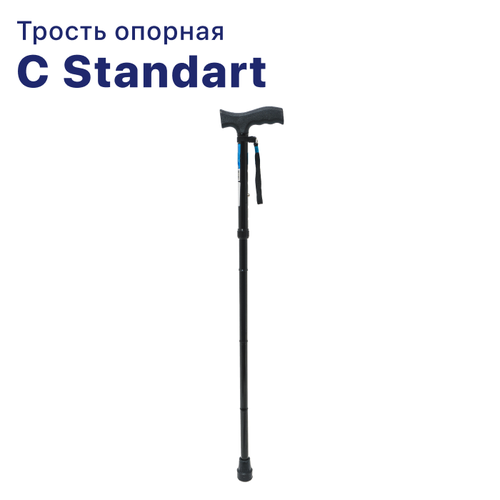  C Standart      -   ()  ,       -     , -,   