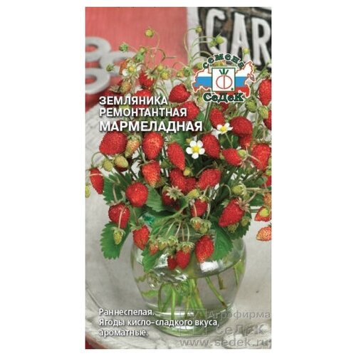 ������ ������ ������ ��������� ������������ 