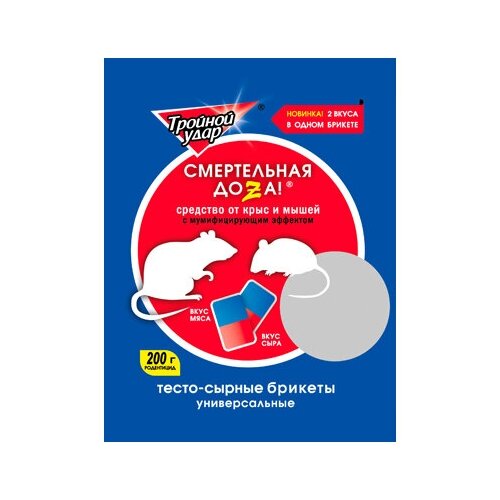 ������ ������ �����-������ ������� �� ���� � ����� 200�. ���� ���� � ����. ����