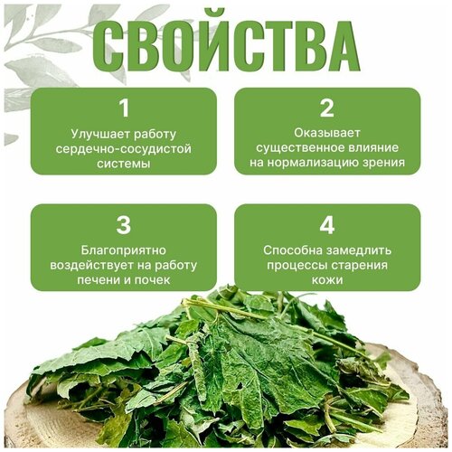 ������ ������ ����� ����� ��������� (�������, �������, �������), ����, 250 �� ����