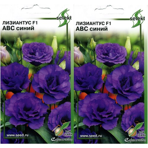 ������ ������ ��������� F1 (�������) ���, �����, 2 �������� �� 5 ����� ����