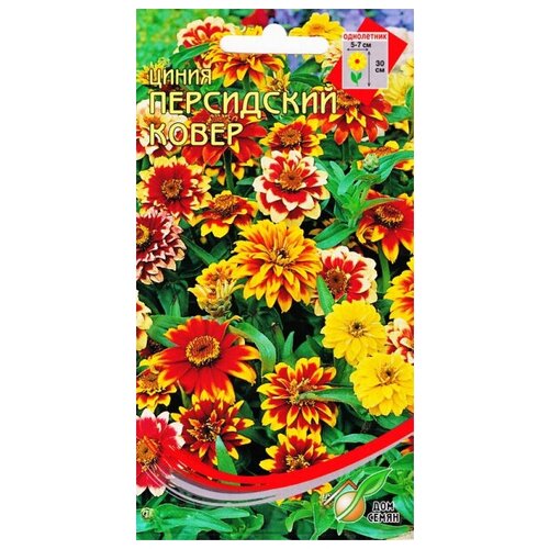 ������ ������ ������ ���������� �����, 65 ����� ����