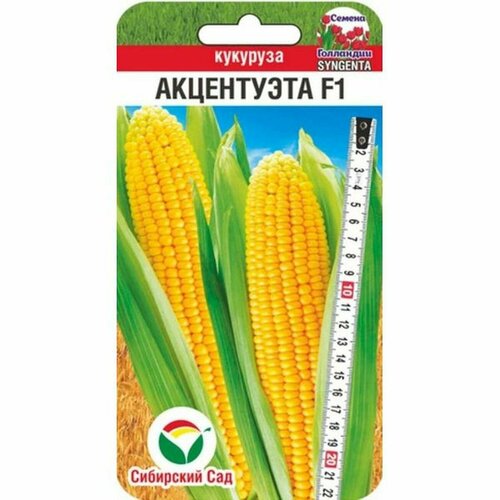 ������ ������ ������ �������� ���������� F1 ��. (��������� ���) 5�� ����