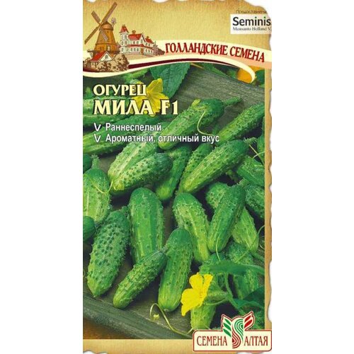 ������ ������ ������ ������ ���� F1 �������� 5�� �� ������ (������ �����) ����������� ������ ����