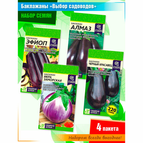 ������ ������ ����� ����� ���������� 