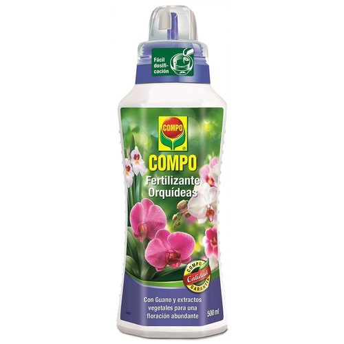 ������ ������ ��������� ������ 