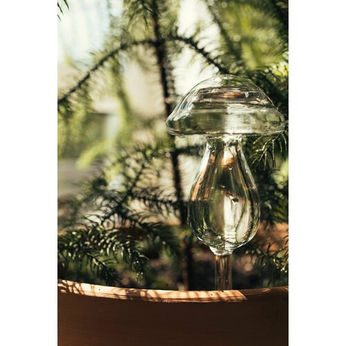 ������ ������ ����� ���������� ������ 