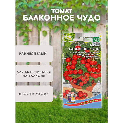 ������ ������ ������ ������� ��������� ����, ��� ������� � ����������� ����