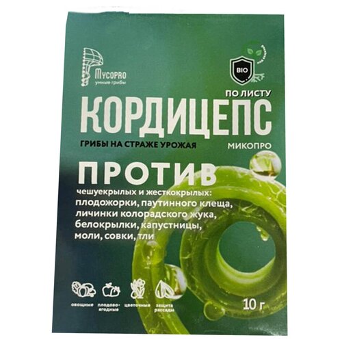 ������ ������ ��������� ������������� �� ����� ������ ������� ��������� ���������� ������� 10 �� ����