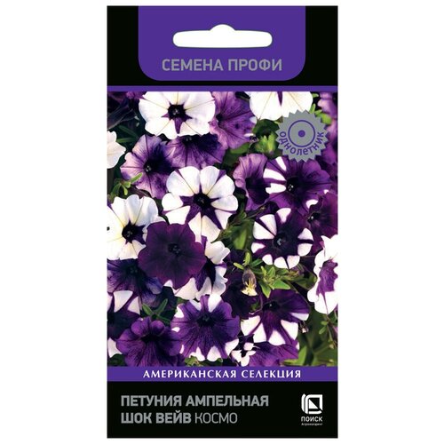 ������ ������ ������� ��������� F1 ��� ���� ����� (������ �����), 5 �� ����