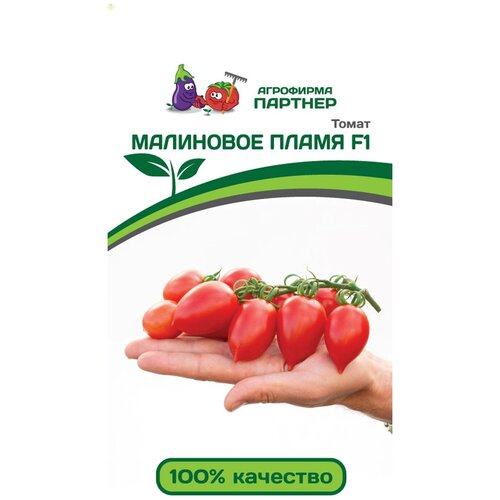 ������ ������ ����� ����� 