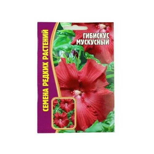 ������ ������ ������ ��������� ���������� (5 �����) ����