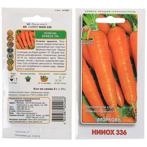 ������ ������ ������� 