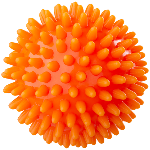 ������ ������ ��� ��������� BASEFIT GB-601 6 ��, ��������� ����