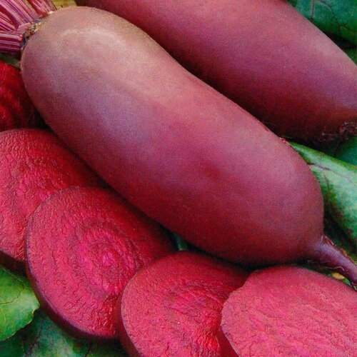 ������ ������ ������ ����� ������ 3 ������ ����� ������� ������ ����