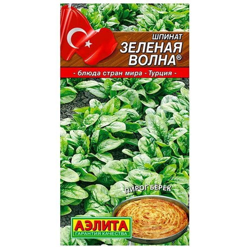 ������ ������ ������. ������ 