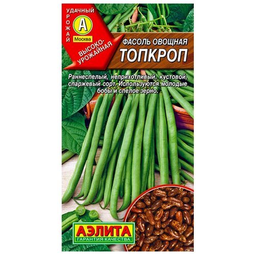 ������ ������ ������. ������ ������� 