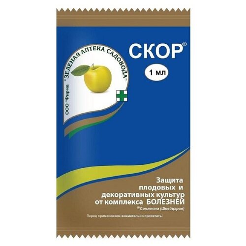 ������ ������ �������� ������ �� �������� ���� 1 ��. ����