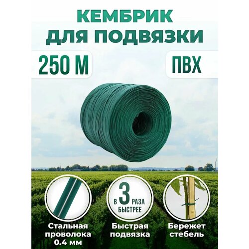 ������ ������ ��� �������� �������� ������� - ��������� � ��� 2,6 �� � 250 � ����