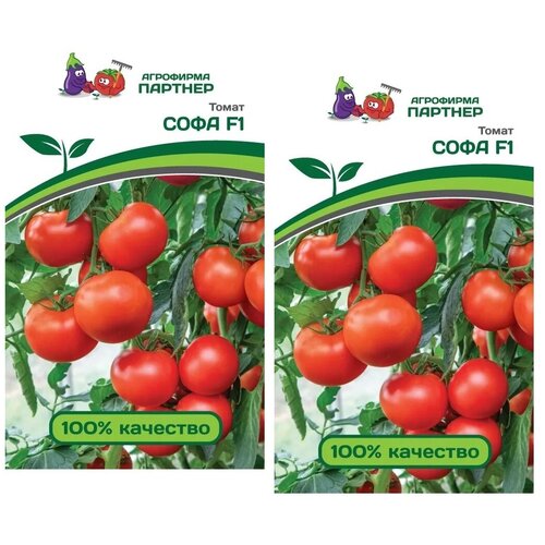 ������ ������ ������ ����� ���� F1 /��������� �������/ 2 �������� �� 0,05 � ����� ����