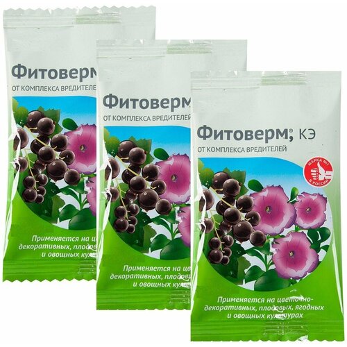 ������ ������ ����������� ����������� 