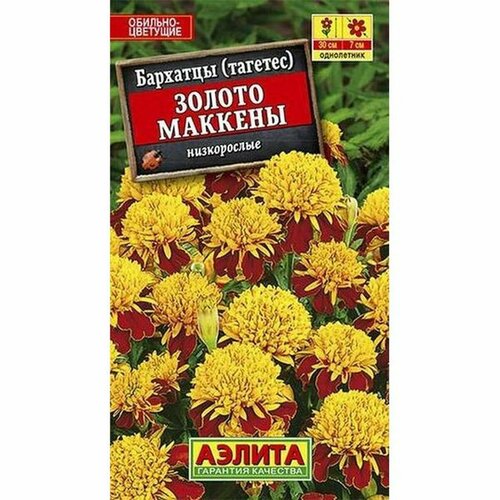 ������ ������ ������ �������� ������ ������� ����������, (������) 0,3� ����