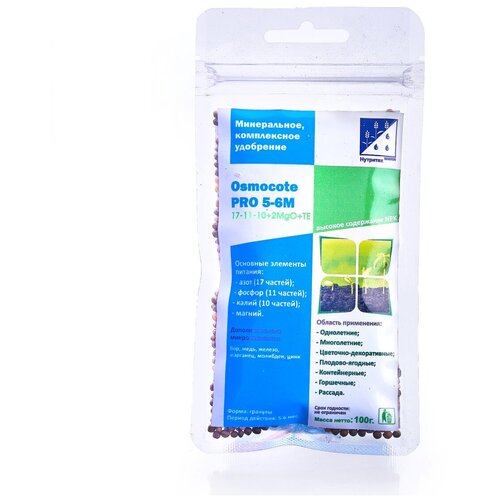 ������ ������ ��������� ������� ��� 5-6 ��� 100 �� ����